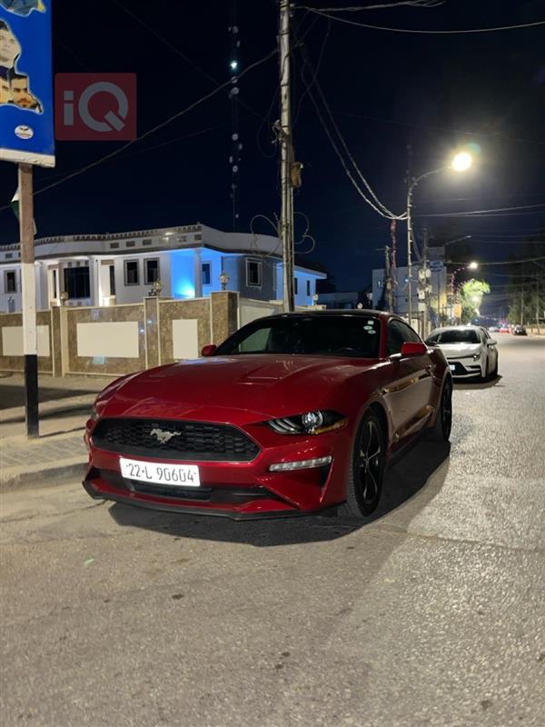 Ford for sale in Iraq